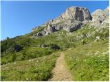 Palafavera - Rifugio Torrani